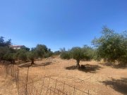 Drapanos Kreta, Drapanos: Grundstück zu verkaufen im Dorf Drapanos Grundstück kaufen